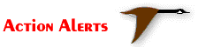 ACTION ALERTS