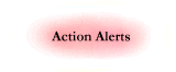 Action Alerts