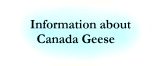 General information