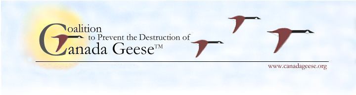 Coalition to Prevent the Destruction of Canada Geese-TM, P.O. Box 917, Pearl River, NY 10965-0917